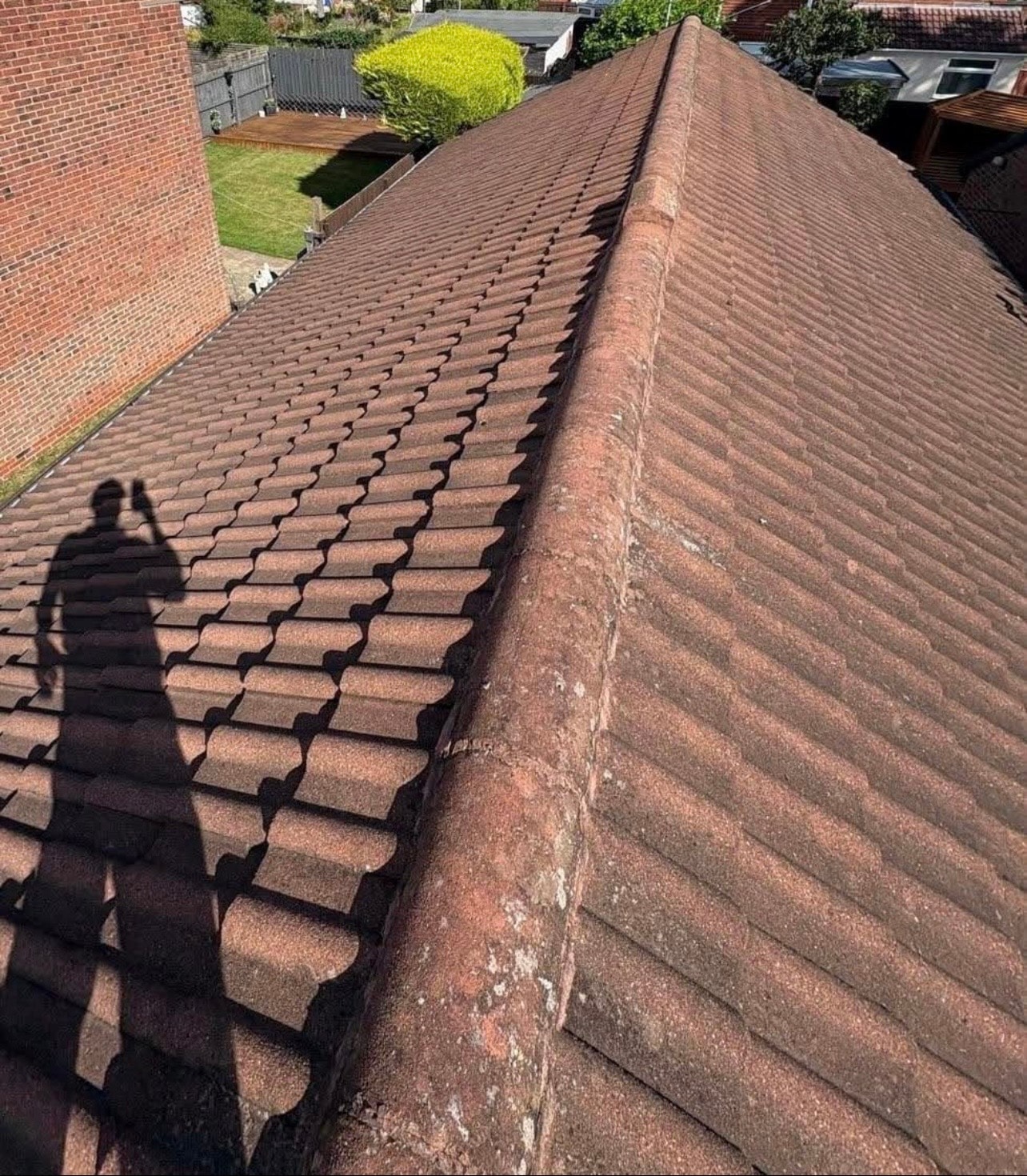 Before — Full Roof Clean