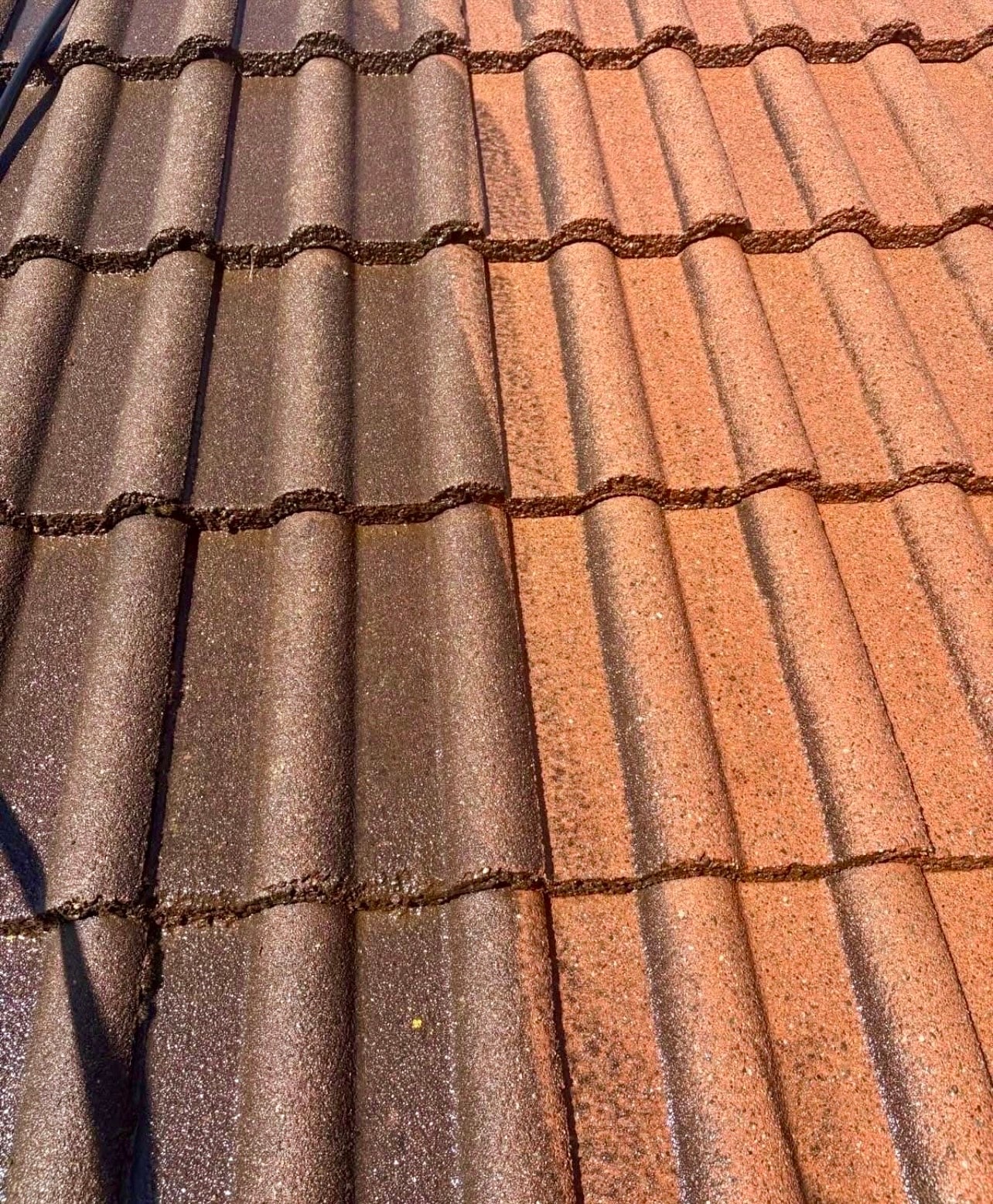 Before & After Roof Cleaning & Biocide Treatment.