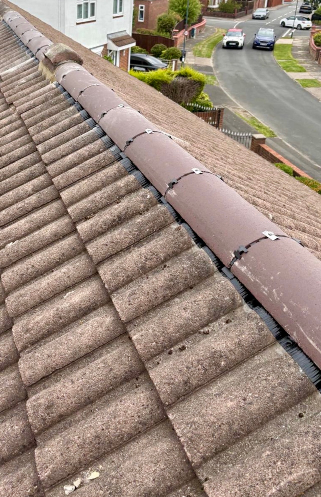 Premium Dry Ridge Upgrade